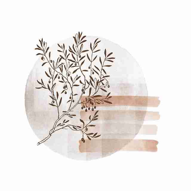黑马崛起——黑料每日增长闭环：高手进阶